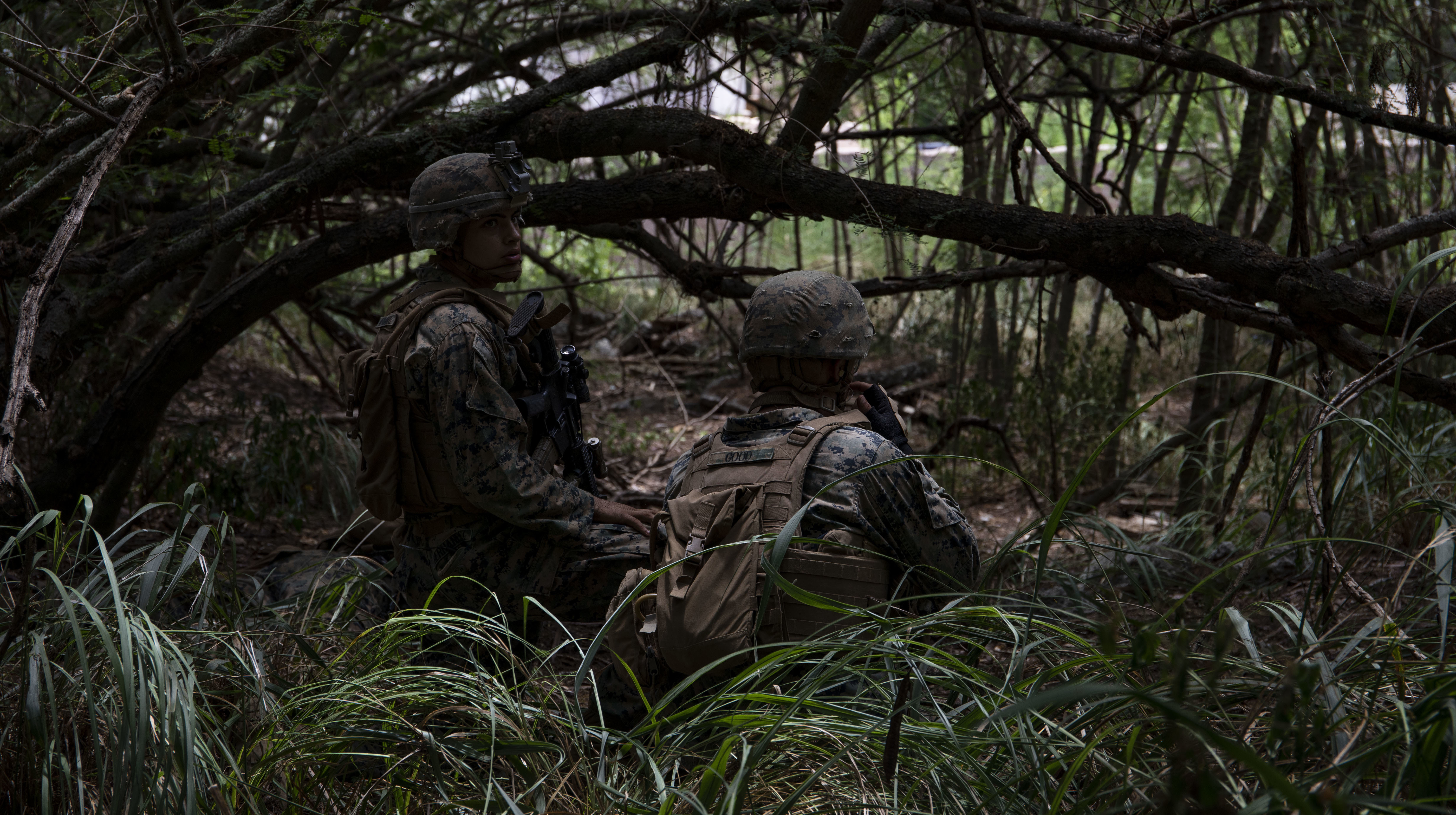 KMREX2019 - Bougainville I